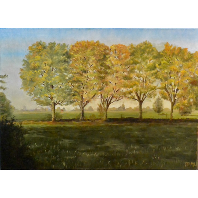 2d40eecd-9abd-442d-be14-1cfbaa887102_1_201_a