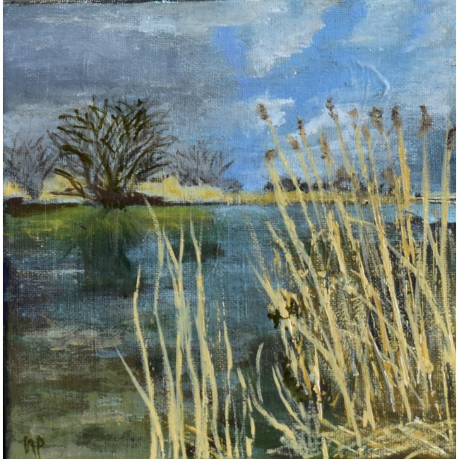 5ed09533-6754-4708-8c7e-6f6a448aa6e9_1_201_a