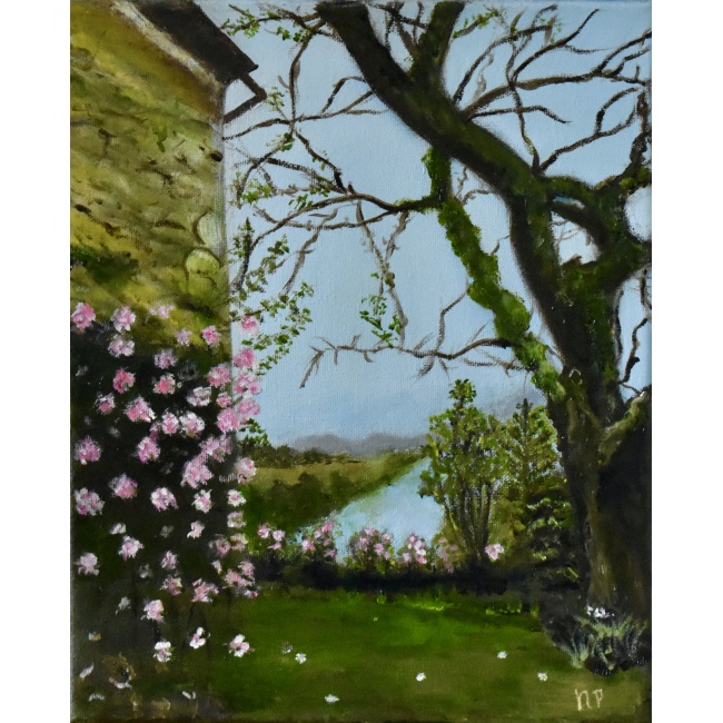 8703f755-5134-4e3d-bd6a-4370e728391a_1_201_a