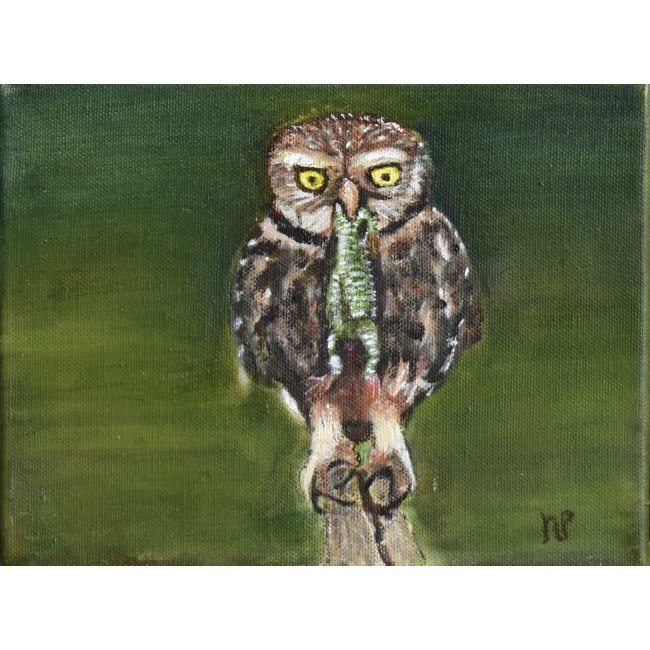 bc470b71-fef5-43a4-b6c5-136ab6d75187_1_201_a