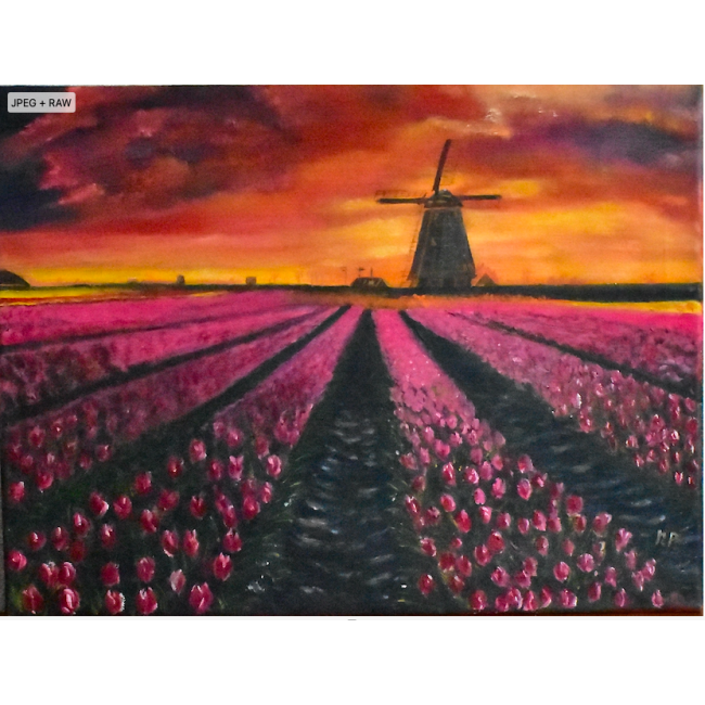 schermafbeelding_2024-10-15_om_11_28_39_453210759